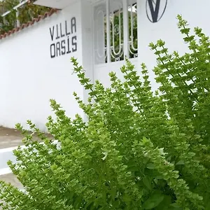 Oasis Bed and breakfast